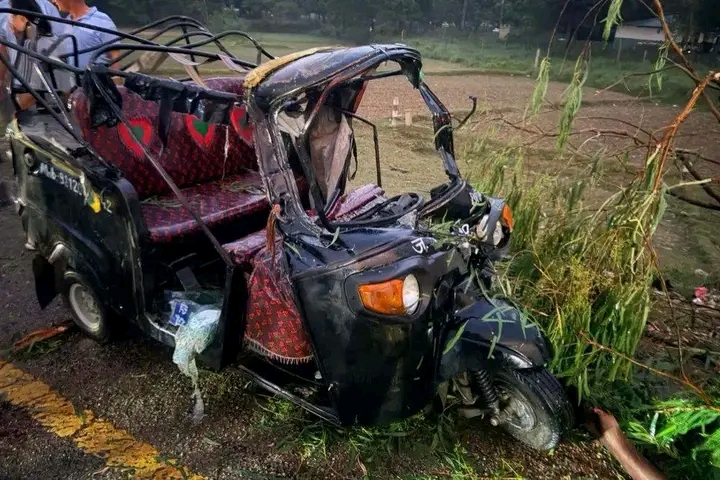 टेम्पोमाथि रुख ढल्दा २ जनाको मृत्यु