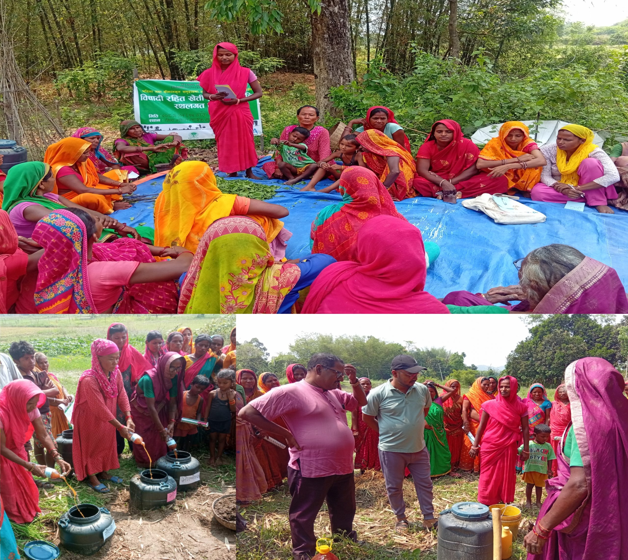 लहानका किसानहरु विषादीरहित खेतीतर्फ आकर्षित हुँदै