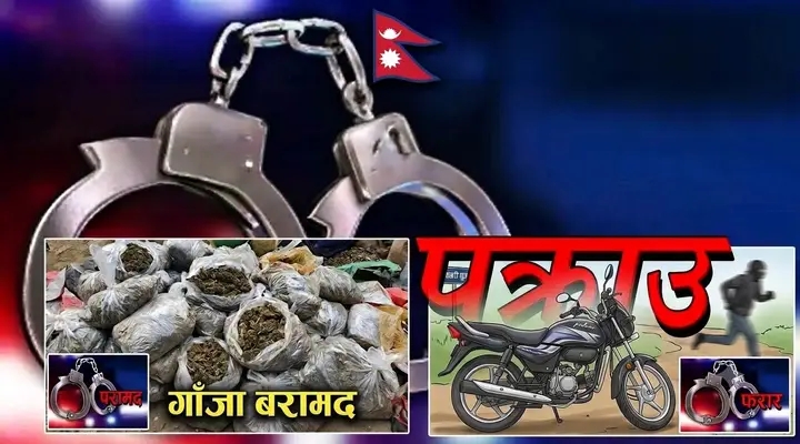 महोत्तरीमा ९० किलो गाँजा बरामद, मोटरसाइकल चालक फरार